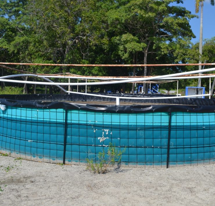 Atrasos en proyectos acuícolas afecta a productores