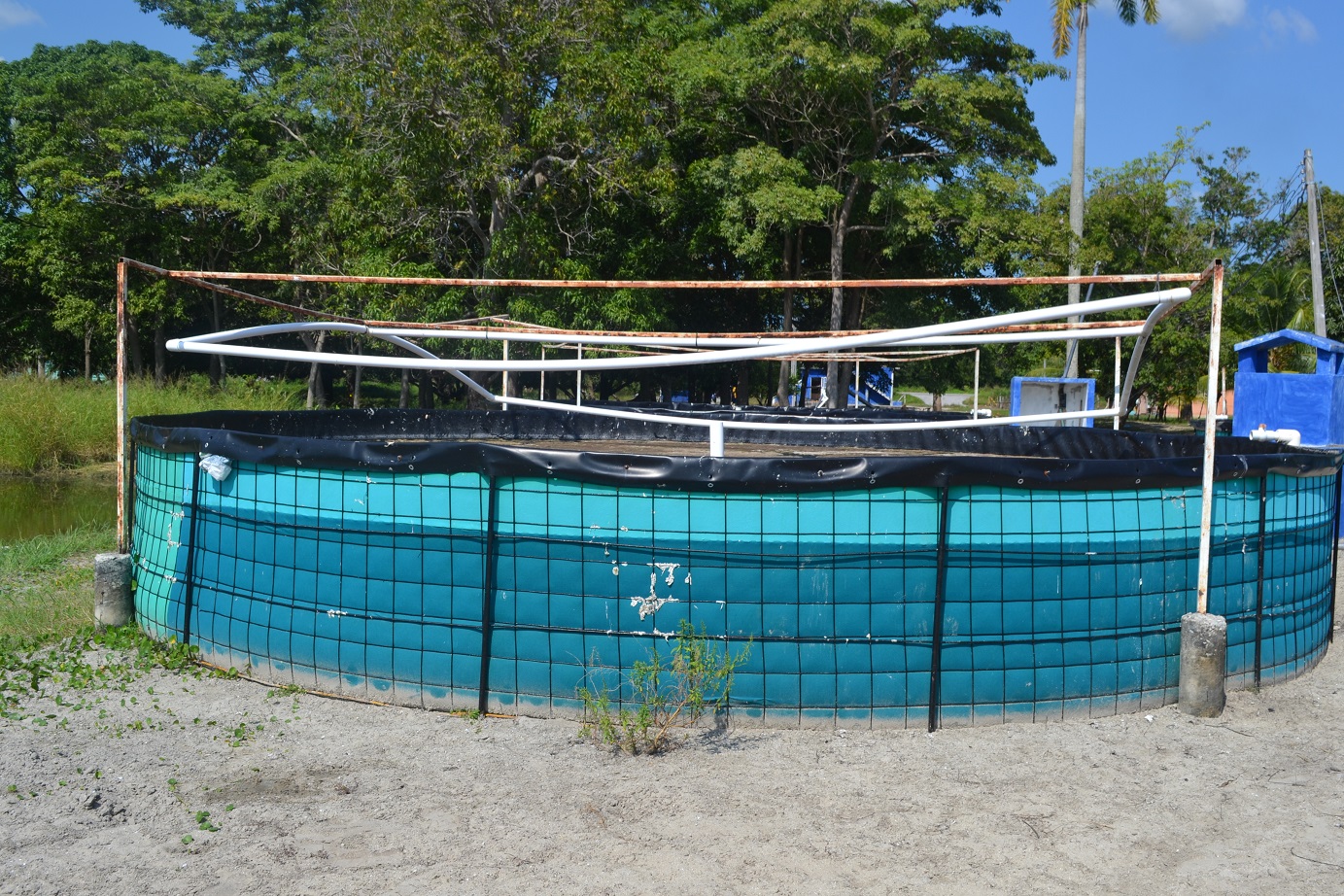 Atrasos en proyectos acuícolas afecta a productores