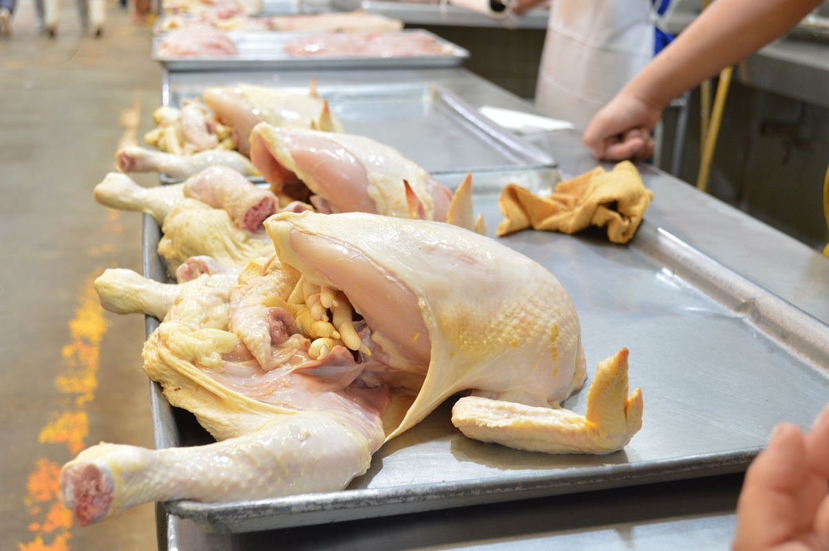 Riesgo de salud pública comprar pollo a comercios ambulantes