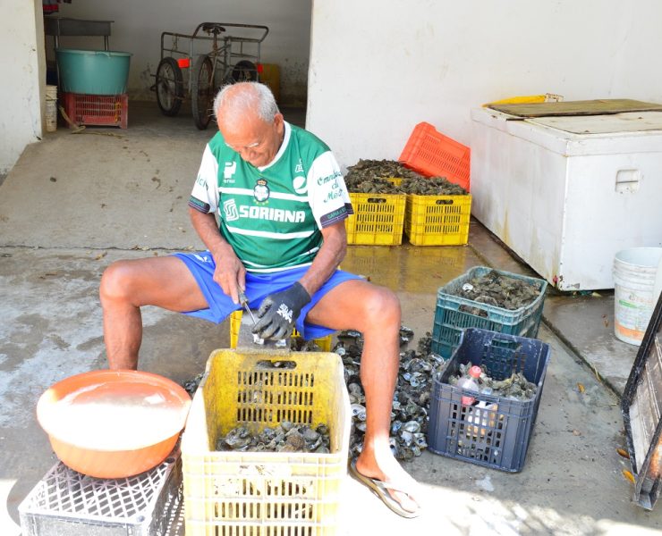 Vigilancia marina frena un poco a ostioneros piratas