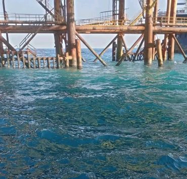 Derrames de crudo siempre afectan a la pesca