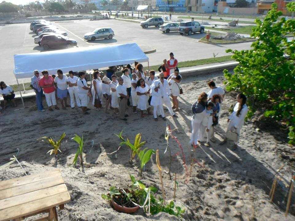 Equinoccio de Primavera ideal para manifestar intenciones