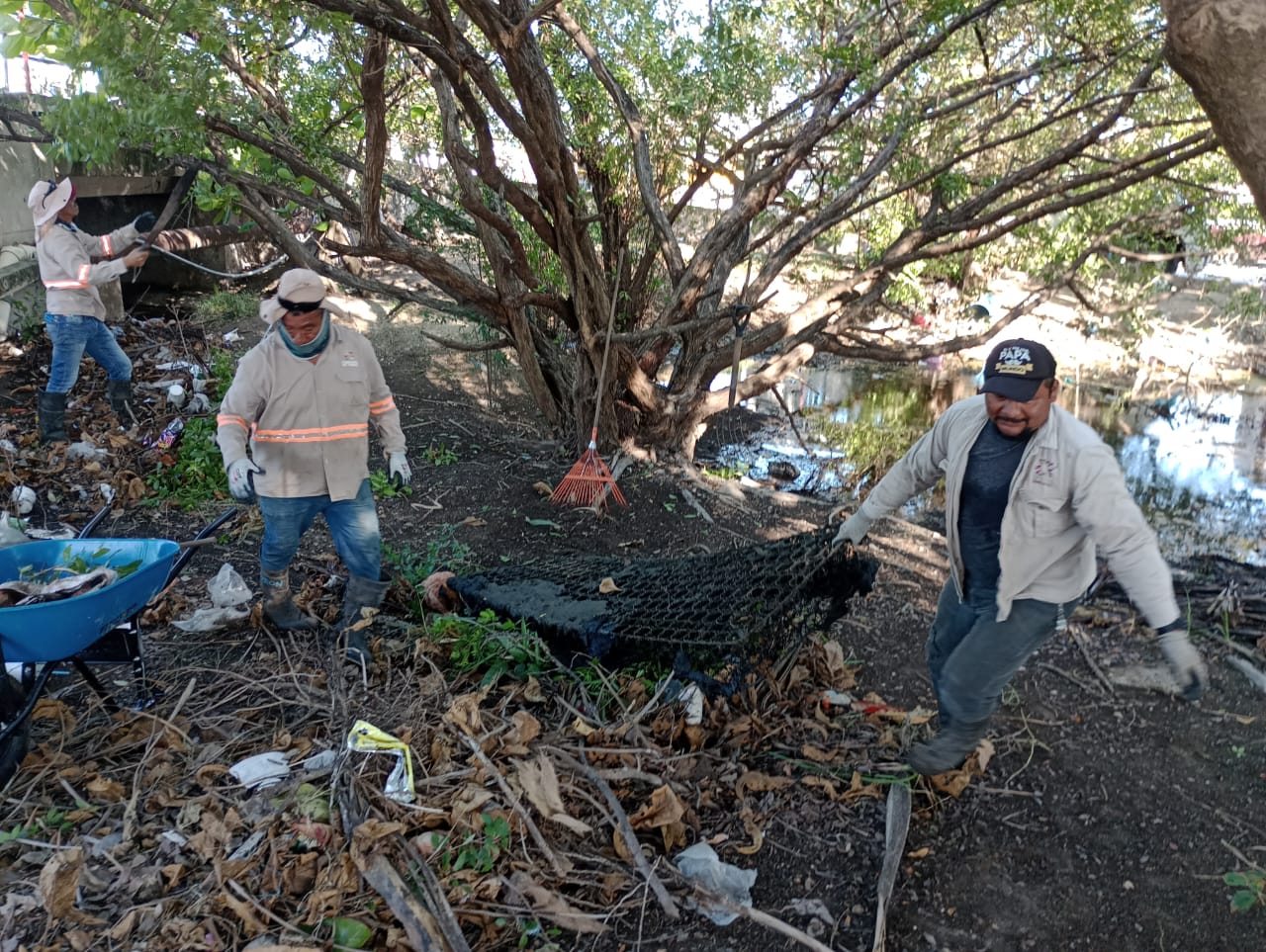 Arroyos y manglares contaminados de basura