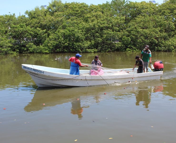 Se debe vedar de por vida la pesca en la Laguna de Términos