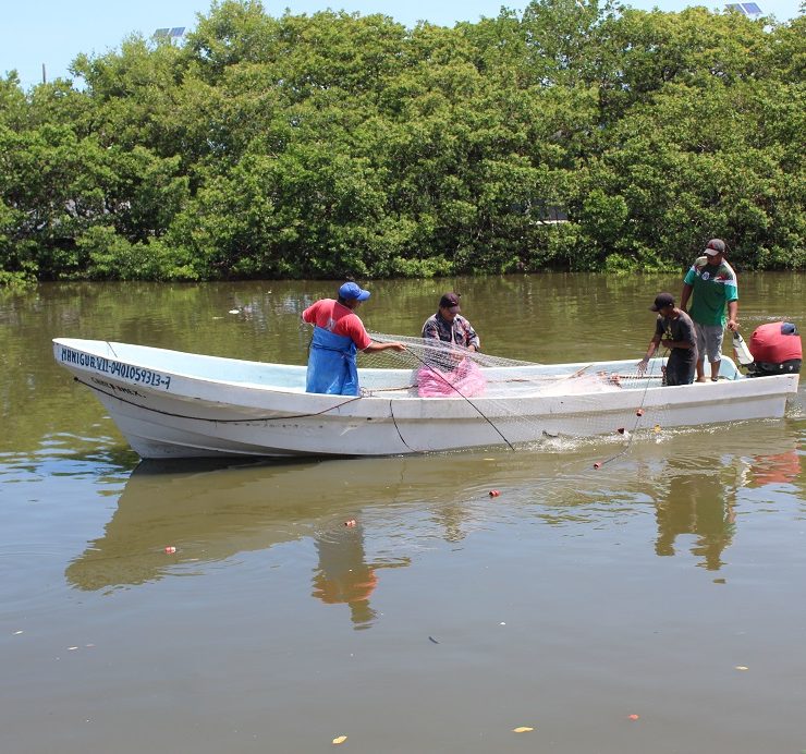 Se debe vedar de por vida la pesca en la Laguna de Términos