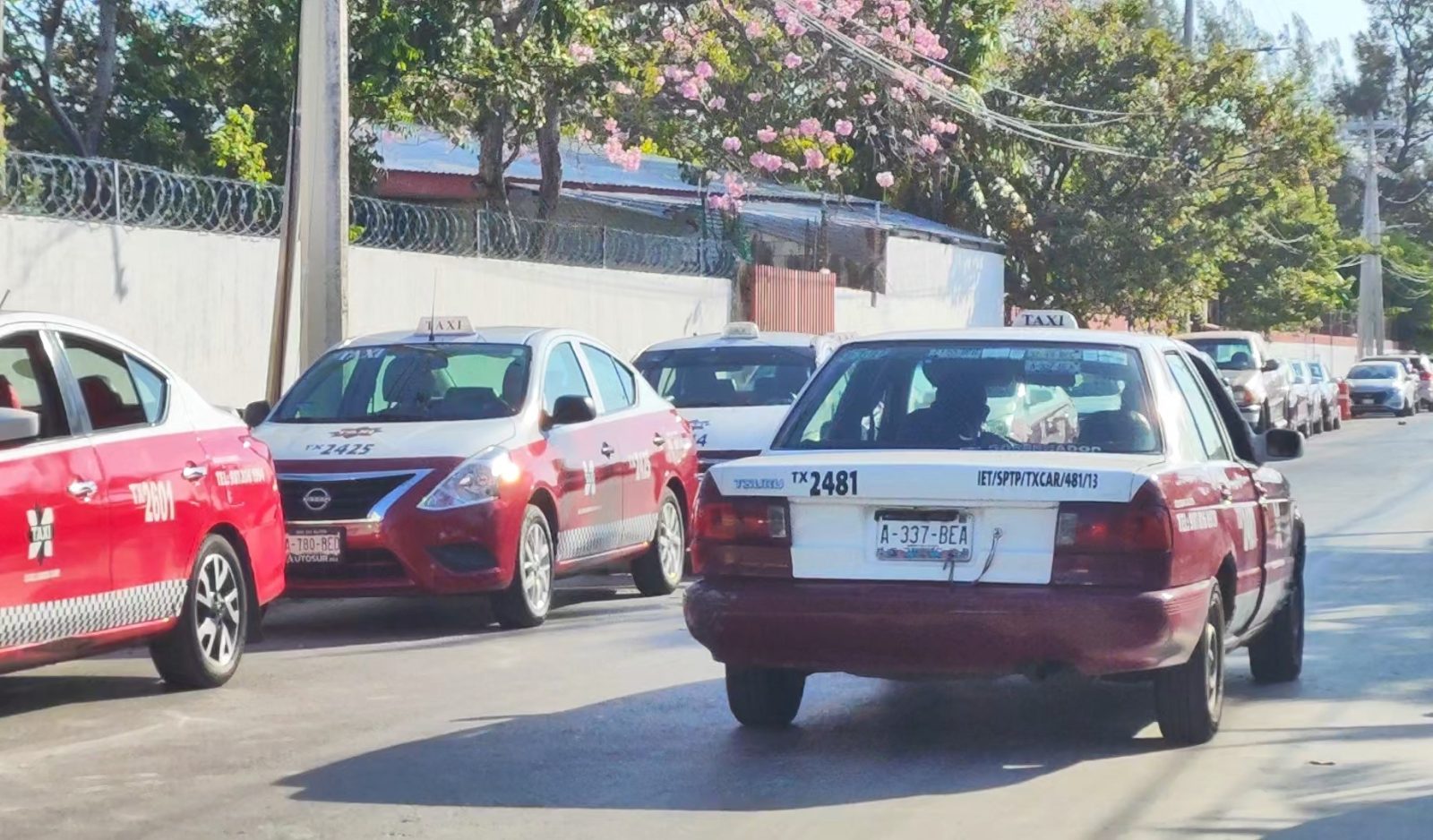 Taxistas no se oponen al servicio de transportes de plataformas