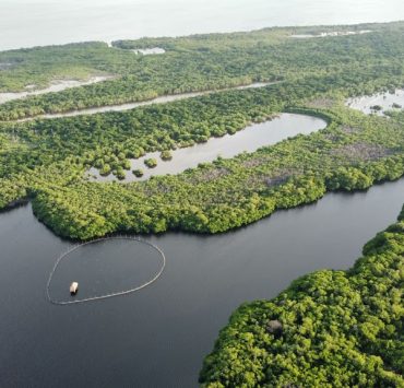 Falta de coordinación para frenar la pesca furtiva en la Laguna de Términos
