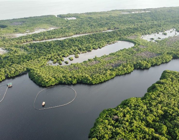 Falta de coordinación para frenar la pesca furtiva en la Laguna de Términos