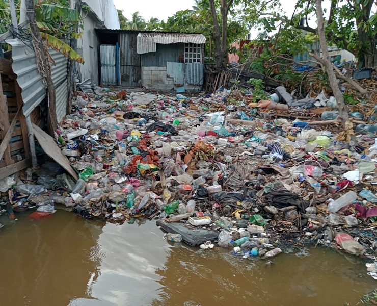 Retiran toneladas de basura en la Laguna de la Manigua