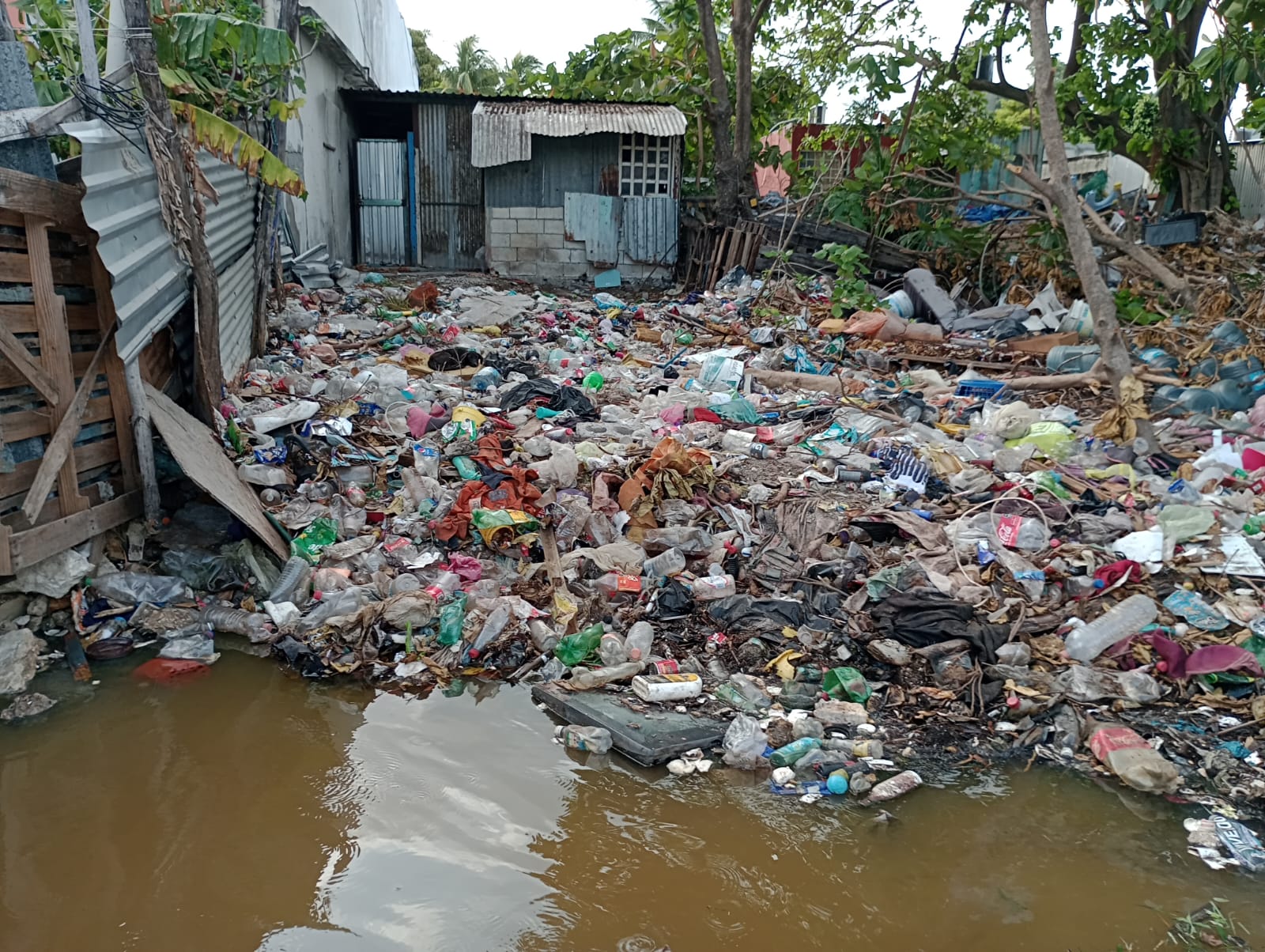 Retiran toneladas de basura en la Laguna de la Manigua
