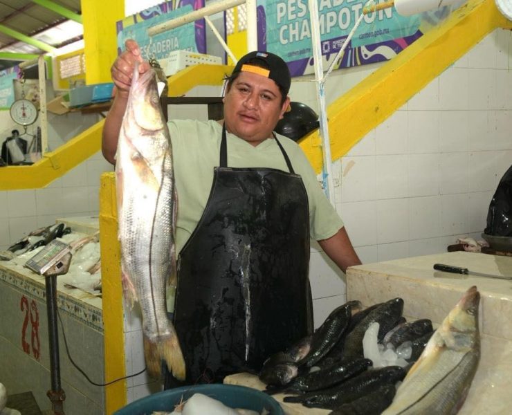 Locatarios del mercado AFA esperan un repunte del 80% en ventas