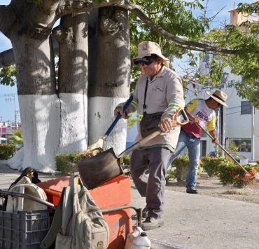 Ayuntamiento del Carmen reinstalará a trabajadores de más de 60 años