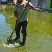Atendieron alcantarillas tapadas en la Colonia Ortiz Ávila para evitar inundaciones
